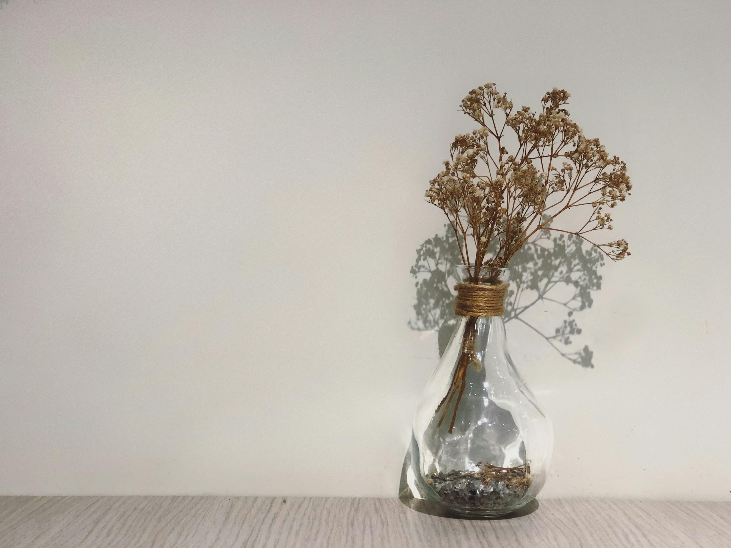 Dried flowers elegantly arranged in a clear glass vase create a serene decoration with natural shadows.