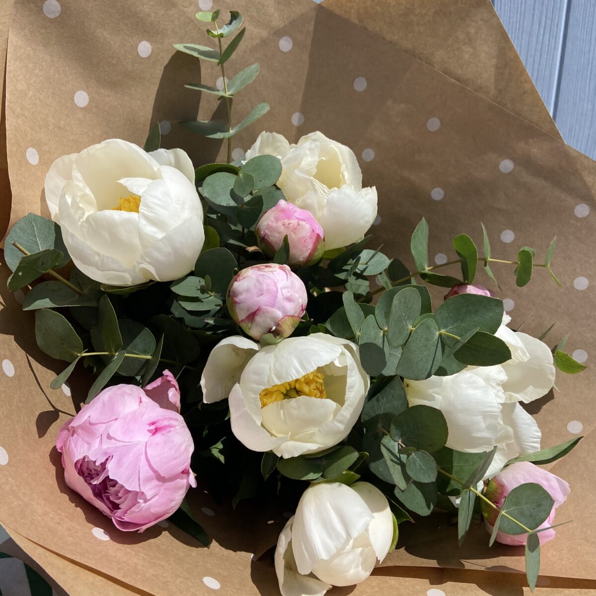 La Brassée de Pivoines